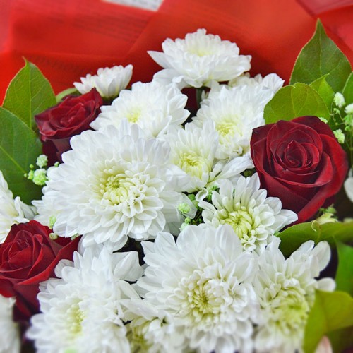 Курганинск краснодарский цветы с доставкой доставка цветов самара и область